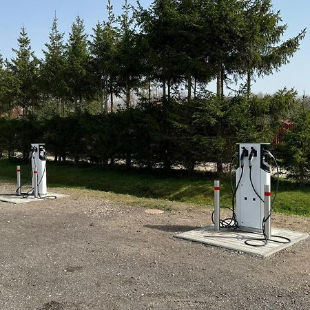 Vila Radailiai - Dinosaur Park Экстерьер фото